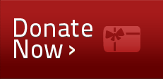 donateNow